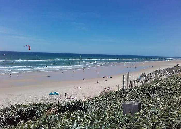 Logis La Forestiere 3*