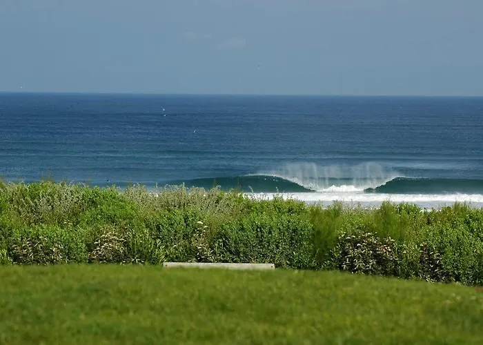 فندق Logis La Forestiere